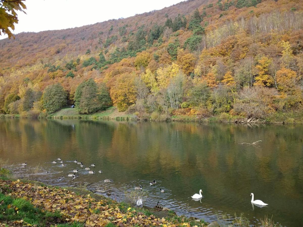 Bed and Breakfast Les Ecureuils Revin  Экстерьер фото